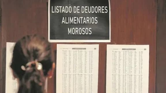 Este miércoles el Senado abordará el proyecto de ley que propone impedir el ingreso de deudores alimentarios a espectáculos deportivos - imagen de origen