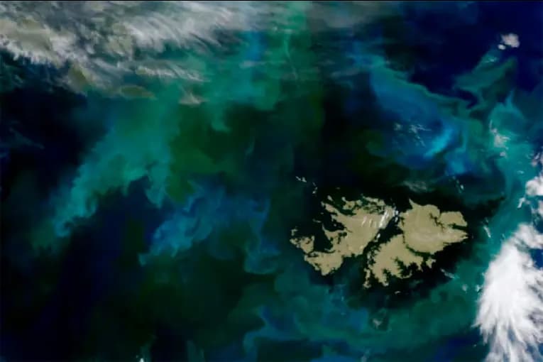Reino Unido afirmó que tiene capacidad para “defender” Malvinas ante una acción argentina - imagen de origen