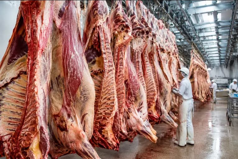 Ganadería en Entre Ríos: se perdieron más de 180.000 bovinos y la faena cayó un 29,49% - imagen de origen