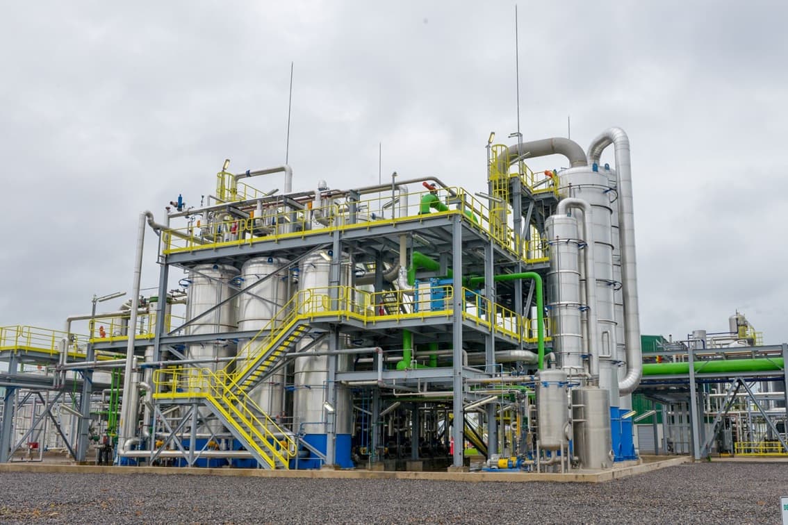 Autorizan la comercialización de nueva levadura genéticamente modificada que optimiza la producción de bioetanol - Dos Florines - imagen de origen