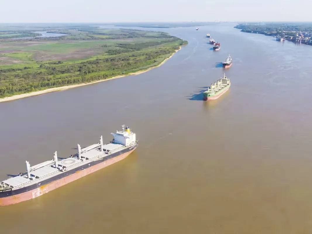 Obras en el Paraná: ambientalistas ampliaron la denuncia y alertaron por el agua potable - imagen de origen