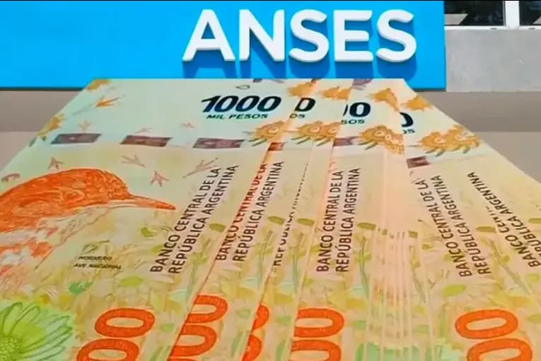 ANSES: cuánto cobrarán AUH y SUAF en noviembre de 2026.