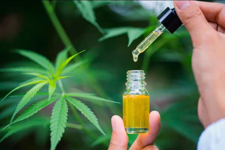 Prorrogaron la intervención del organismo que regula el cannabis medicinal - imagen de origen