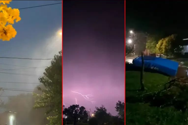 Videos del temporal en el sur entrerriano: diluvio, árboles caídos y voladuras de techos - imagen de origen
