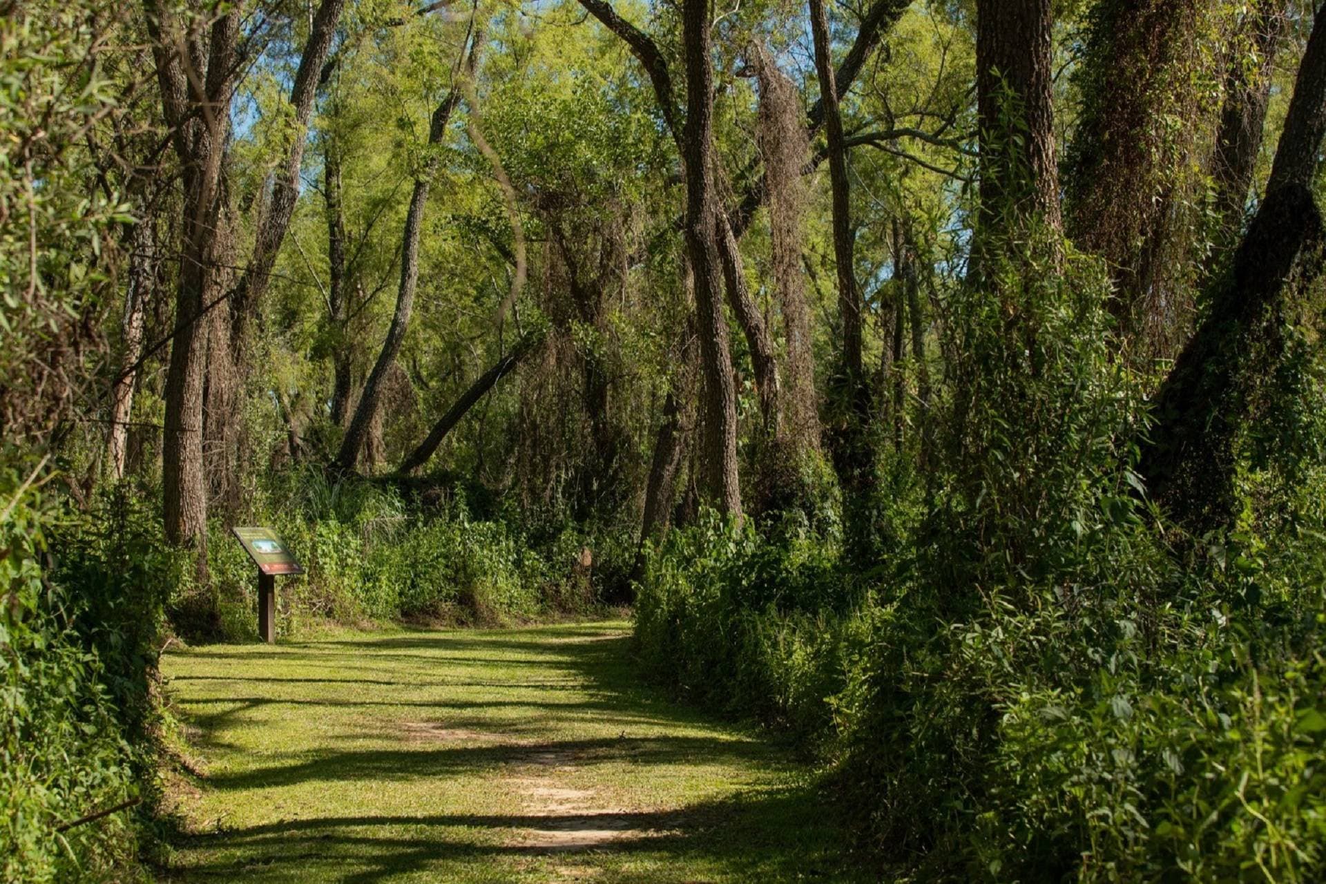 El Museo Antonio Serrano realizará un ciclo de charlas sobre flora nativa y ambientes entrerrianos - imagen del Gobierno de Entre Rios