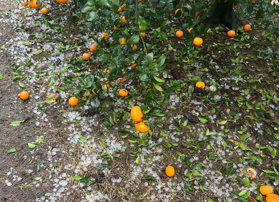 Informe anticipa un fuerte impacto de "El Niño" en las cadenas productivas de Entre Ríos - Dos Florines - imagen de origen