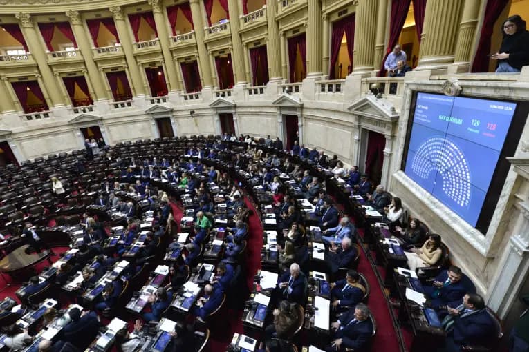Diputados retoman el debate de la Ley de Defensa de la Soberanía: los puntos clave - imagen de origen