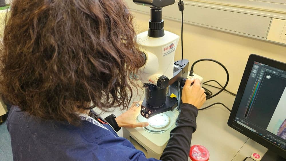 Lanzaron Mi SENASA, una app de acceso online a la consulta de resultados de análisis de laboratorio - Dos Florines - imagen de origen